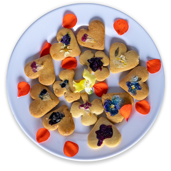 platillo1-flores comestibles