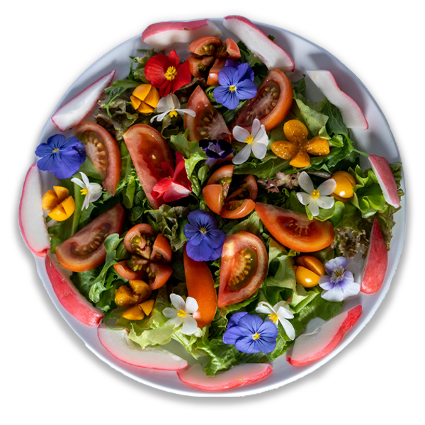 platillo2-flores comestibles