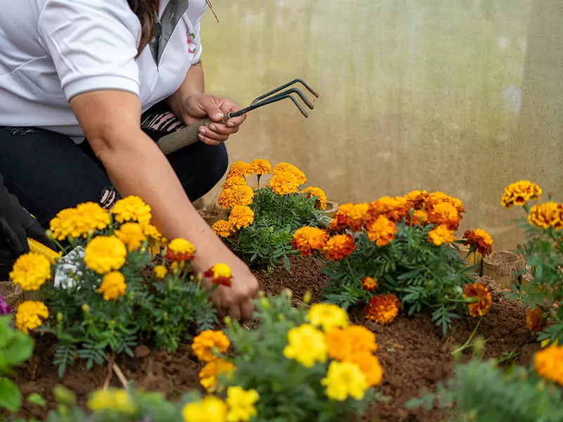 producto11-florescomestibles