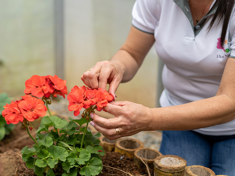 producto3-florescomestibles