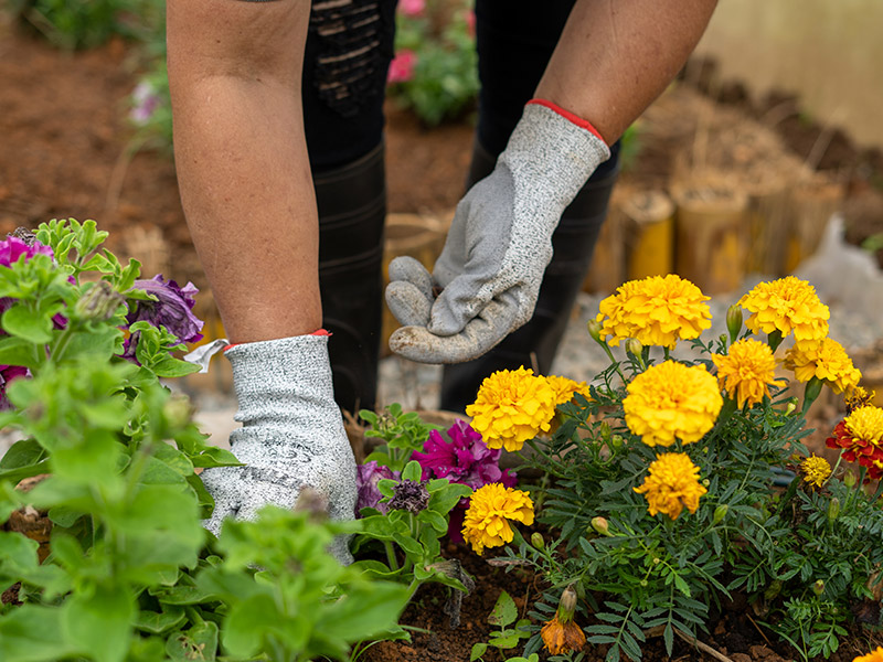 producto4-florescomestibles